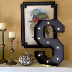 Lighted S Wall Decor